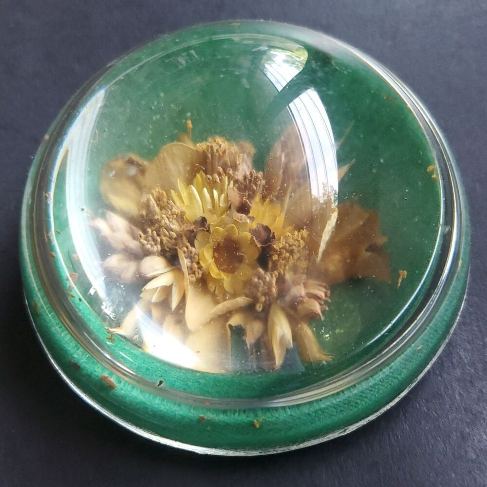 Vintage Paperweight Dried Flowers Round Green Nottingham Originals Eastville VA